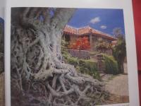 與那覇朝大画集  　　  よなは ちょうだい画集    　　むぎ社 　発行　　　　    【沖縄・琉球・歴史・絵画・作品集・美術・芸術・文化】