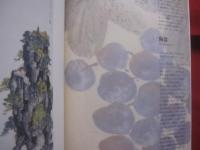 没後７０年・児島虎次郎　 展  　　  編集・発行 　没後７０年・児島虎次郎展実行委員会  　　　　    【美術・絵画・陶器・文化・作品集・図録】