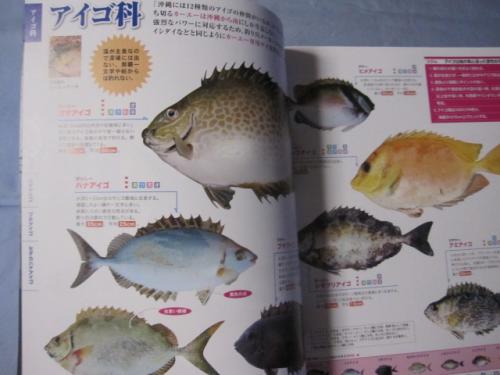 おきなわの釣り魚図鑑3種 改訂版 沖縄 琉球 文化 企画 編集 城 一人 古本 中古本 古書籍の通販は 日本の古本屋 日本の古本屋