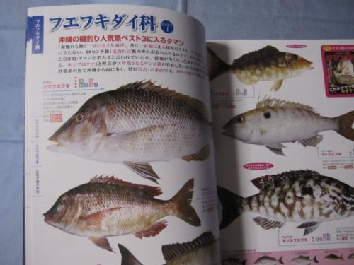 おきなわの釣り魚図鑑3種 改訂版 沖縄 琉球 文化 企画 編集 城 一人 古本 中古本 古書籍の通販は 日本の古本屋 日本の古本屋