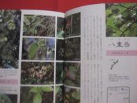 ★豊かな自然を体験しよう！　　       沖縄自然ガイドブック   　　     屋比久壮実   　 著           　　      【沖縄・琉球・自然・生物・植物・動物・アウトドア・趣味】