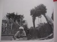 あんやたん    　　沖縄写真帖      　　前原基男 写真集       　　 私家版 　　               【沖縄・琉球・歴史・文化・戦後・アート写真・人物・自然・風景】