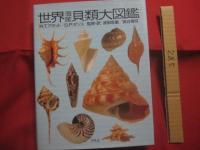 世界海産貝類大図鑑   　　 著者  Ｒ．Ｔ．アボット  ／  Ｓ．Ｐ．ダンス 　　   監修・訳    渡部忠重  ／  奥谷喬司 　　　　        【自然・生物・軟体動物・海洋生物】