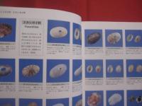 世界海産貝類コレクション大図鑑  　　  ― 　美しい世界の貝　 ―    　　付録　 別冊　・　ＣＤ  　　  菱田嘉一 　著　　    電気書院 　発行　　     定価 ２８，０００円  　　　　        【自然・生物・軟体動物・海洋生物】