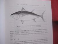 マグロの科学　　    ― その生産から消費まで ―  　　  小野征一郎 　 編著  　　  成山堂書店　  発行    　　　　   【海洋生物・動物・魚類・養殖・食品】