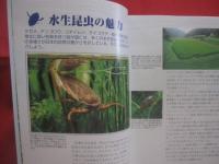 水生昆虫観察図鑑   　　 その魅力と楽しみ方   　　 ゲンゴロウ、　タガメ、　コオイムシ、　タイコウチ、　ミズカマキリ        　　　　   【自然・生物・カメムシ目・コウチュウ目・リュウキュウオオイチモンジシマゲンゴロウ・やんばる】
