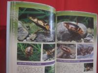 水生昆虫観察図鑑   　　 その魅力と楽しみ方   　　 ゲンゴロウ、　タガメ、　コオイムシ、　タイコウチ、　ミズカマキリ        　　　　   【自然・生物・カメムシ目・コウチュウ目・リュウキュウオオイチモンジシマゲンゴロウ・やんばる】
