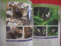 水生昆虫観察図鑑   　　 その魅力と楽しみ方   　　 ゲンゴロウ、　タガメ、　コオイムシ、　タイコウチ、　ミズカマキリ        　　　　   【自然・生物・カメムシ目・コウチュウ目・リュウキュウオオイチモンジシマゲンゴロウ・やんばる】