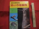 琉球列島動物図鑑 1 陸の脊椎動物 著者 池原貞雄 与...