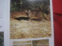 琉球列島動物図鑑 　　 １ 　　 陸の脊椎動物  　　著者　 池原貞雄　  与那城義春　  宮城邦治 　 当山昌直    　　新星図書出版 　発行   　　 定価　９，０００円   　　　　    【沖縄・琉球・自然・生物】