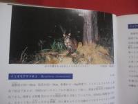 琉球列島動物図鑑 　　 １ 　　 陸の脊椎動物  　　著者　 池原貞雄　  与那城義春　  宮城邦治 　 当山昌直    　　新星図書出版 　発行   　　 定価　９，０００円   　　　　    【沖縄・琉球・自然・生物】