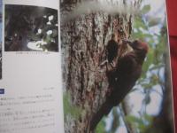 琉球列島動物図鑑 　　 １ 　　 陸の脊椎動物  　　著者　 池原貞雄　  与那城義春　  宮城邦治 　 当山昌直    　　新星図書出版 　発行   　　 定価　９，０００円   　　　　    【沖縄・琉球・自然・生物】