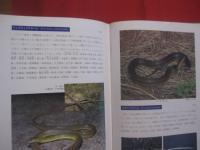 琉球列島動物図鑑 　　 １ 　　 陸の脊椎動物  　　著者　 池原貞雄　  与那城義春　  宮城邦治 　 当山昌直    　　新星図書出版 　発行   　　 定価　９，０００円   　　　　    【沖縄・琉球・自然・生物】