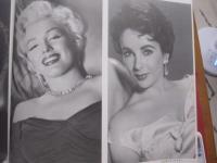 写真集 　　 世界の女優  　　映画１００年のヒロインたち  　　  監修 　南部圭之介・淀川長治  　　  ノーベル書房 　発行 　　   定価 １９，８００円　　　　       【外国女優・グラマー女優・銀幕・シネマ・文化・大型本】