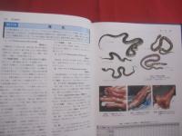 図説  　　 人体寄生虫学  　　   第６版   　　 著者　  吉田幸雄 （ 京都府立医科大学名誉教授 ）   　　  南山堂　  発行   　　  定価 　９，０００円＋税   　　　　     【医学・生物】