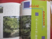 カラー版  　  グスクロード    　沖縄の城ものがたり      　　沖縄の戦国絵巻 　 王 ・ 按司たちの野望と悲しみ　　         【沖縄・琉球・歴史・文化】