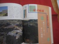 カラー版  　  グスクロード    　沖縄の城ものがたり      　　沖縄の戦国絵巻 　 王 ・ 按司たちの野望と悲しみ　　         【沖縄・琉球・歴史・文化】
