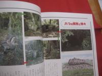 カラー版  　  グスクロード    　沖縄の城ものがたり      　　沖縄の戦国絵巻 　 王 ・ 按司たちの野望と悲しみ　　         【沖縄・琉球・歴史・文化】