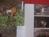 日本絶滅危機動物図鑑　　    レッドデータアニマルズ    　　発行　  （ 株 ）JICC（ジック）出版局    　　定価　  ２，９８０円  　　　　     【自然・生物・動物・哺乳類・鳥類・淡水魚類・両生爬虫類・昆虫類・イリオモテヤマネコ・アマミノクロウサギ・ヤンバルクイナ・リュウキュウヤマガメ・ヤンバルテナガコガネ・オオムラサキ・環境】