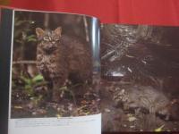 ☆日本絶滅危機動物図鑑　　    レッドデータアニマルズ    　　発行　  （ 株 ）JICC（ジック）出版局    　　定価　  ２，９８０円  　　　　     【自然・生物・動物・哺乳類・鳥類・淡水魚類・両生爬虫類・昆虫類・イリオモテヤマネコ・アマミノクロウサギ・ヤンバルクイナ・リュウキュウヤマガメ・ヤンバルテナガコガネ・オオムラサキ・環境】