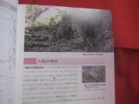 八重山を学ぶ  　　  八重山の自然・歴史・文化  　　  編著　  「 八重山を学ぶ 」 刊行委員会  　　　　      【沖縄・琉球・歴史・文化・生物・動物・植物・離島・先島諸島】