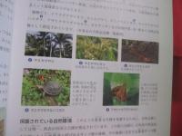 八重山を学ぶ  　　  八重山の自然・歴史・文化  　　  編著　  「 八重山を学ぶ 」 刊行委員会  　　　　      【沖縄・琉球・歴史・文化・生物・動物・植物・離島・先島諸島】
