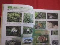 八重山を学ぶ  　　  八重山の自然・歴史・文化  　　  編著　  「 八重山を学ぶ 」 刊行委員会  　　　　      【沖縄・琉球・歴史・文化・生物・動物・植物・離島・先島諸島】