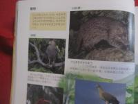 八重山を学ぶ  　　  八重山の自然・歴史・文化  　　  編著　  「 八重山を学ぶ 」 刊行委員会  　　　　      【沖縄・琉球・歴史・文化・生物・動物・植物・離島・先島諸島】