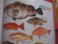 フィッシング  　   パラダイス   　    沖縄磯釣り徹底ポイント    　     決定版   　　　 新垣柴太郎　  　著    　           【沖縄・琉球・自然・趣味・アウトドア・海洋レジャー】