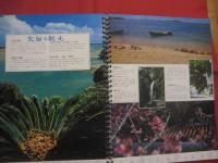 めんそーれー　 （ いらっしゃいませ ） 　沖縄  　  ＷＥＬＣＯＭＥ 　 ＯＫＩＮＡＷＡ    　　浜田写真工芸社 　 発行    　　日本語・英語 　表記  　　　　   【沖縄・琉球・歴史・文化・写真集・観光ガイド】