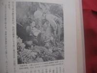 証言・沖縄戦  　　戦場の光景    　　石原昌家（沖縄国際大学教授）　 著  　　  青木書店 　発行  　　　　   【沖縄・琉球・歴史・太平洋戦争・沖縄戦】