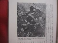 証言・沖縄戦  　　戦場の光景    　　石原昌家（沖縄国際大学教授）　 著  　　  青木書店 　発行  　　　　   【沖縄・琉球・歴史・太平洋戦争・沖縄戦】