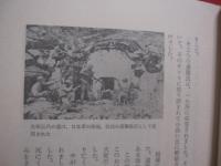 証言・沖縄戦  　　戦場の光景    　　石原昌家（沖縄国際大学教授）　 著  　　  青木書店 　発行  　　　　   【沖縄・琉球・歴史・太平洋戦争・沖縄戦】