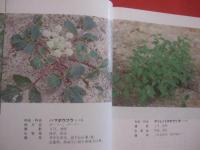 ★沖縄教材植物図鑑 　　     ―  路傍の草木  ―      　　      多和田真淳   監修     　　     仲真良英   著      　　沖縄時事出版   発行                【沖縄・琉球・自然・植物】
