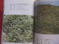 ★沖縄教材植物図鑑 　　     ―  路傍の草木  ―      　　      多和田真淳   監修     　　     仲真良英   著      　　沖縄時事出版   発行                【沖縄・琉球・自然・植物】