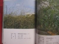 ★沖縄教材植物図鑑 　　     ―  路傍の草木  ―      　　      多和田真淳   監修     　　     仲真良英   著      　　沖縄時事出版   発行                【沖縄・琉球・自然・植物】