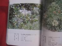 ★沖縄教材植物図鑑 　　     ―  路傍の草木  ―      　　      多和田真淳   監修     　　     仲真良英   著      　　沖縄時事出版   発行                【沖縄・琉球・自然・植物】