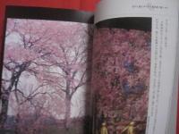 京  花のころ    　　写真・文　 水野 丹石   　　 京都新聞社　 発行 　　　　      【自然・風景・名所・寺院・植物・草木・樹木・桜】