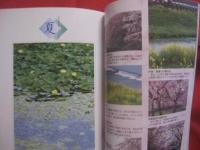 京  花のころ    　　写真・文　 水野 丹石   　　 京都新聞社　 発行 　　　　      【自然・風景・名所・寺院・植物・草木・樹木・桜】