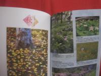 京  花のころ    　　写真・文　 水野 丹石   　　 京都新聞社　 発行 　　　　      【自然・風景・名所・寺院・植物・草木・樹木・桜】