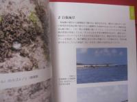 潮間帯と海藻 　   Ⅱ     　　  八重山の海岸を歩く      　　 久場 安次  　 著  　　     新星出版   発行         　　   【沖縄・琉球・自然・地質・生物・先島諸島・離島】
