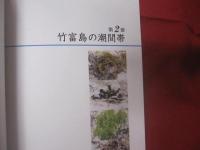 潮間帯と海藻 　   Ⅱ     　　  八重山の海岸を歩く      　　 久場 安次  　 著  　　     新星出版   発行         　　   【沖縄・琉球・自然・地質・生物・先島諸島・離島】