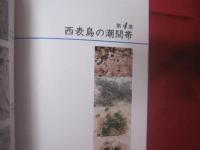 潮間帯と海藻 　   Ⅱ     　　  八重山の海岸を歩く      　　 久場 安次  　 著  　　     新星出版   発行         　　   【沖縄・琉球・自然・地質・生物・先島諸島・離島】