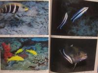 もっと知りたい魚の世界  　　  水中カメラマンのフィールドノート    　　大方洋二  　著 　　  ジャック・Ｔ・モイヤー用語解説 　付　　    サイン本　　　　    【自然・海洋生物・ダイビング】