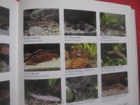 決定版　　   熱帯魚大図鑑 　　   撮影　  小林道信・ほか　　    文　  森 文俊・ほか　　    世界文化社 　 発行 　　   定価 　 ９，２２３円＋税  　　      【観賞魚・趣味・知識・繁殖・水槽】
