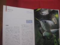 決定版　　   熱帯魚大図鑑 　　   撮影　  小林道信・ほか　　    文　  森 文俊・ほか　　    世界文化社 　 発行 　　   定価 　 ９，２２３円＋税  　　      【観賞魚・趣味・知識・繁殖・水槽】