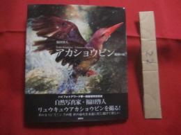 アカショウビン  　　琉球の紅　　    写真・文  　福田啓人（ハイフォトアワード第一回最優秀受賞者）　　    雷鳥社  　発行   　　　　    【沖縄・琉球・自然・生物・鳥類・写真集】