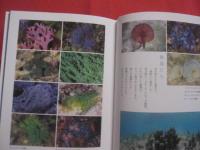 海の本  　　  企画・写真 　吉野雄輔  　　  角川書店　 発行　　    サイン本 　　　　   【写真本・自然・風景・海洋生物・魚類・軟体動物】