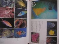 海の本  　　  企画・写真 　吉野雄輔  　　  角川書店　 発行　　    サイン本 　　　　   【写真本・自然・風景・海洋生物・魚類・軟体動物】