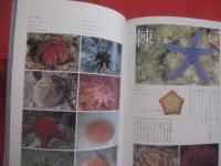 海の本  　　  企画・写真 　吉野雄輔  　　  角川書店　 発行　　    サイン本 　　　　   【写真本・自然・風景・海洋生物・魚類・軟体動物】